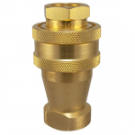 BS10 Series Brass Coupler 1/8" x 3/4"