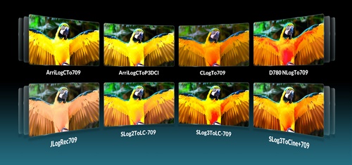 formats