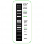 DNA Marker, 19 Fragments, 100-10,000bp Ladder