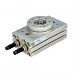 NPT 22Nm Theoretic Moments Rotary Actuator