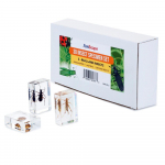 3D Real Insect and Arachnid Specimen Kit
