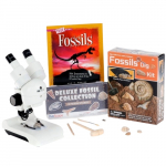 Fossil Adventurer Series Set