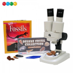Kid's Microscope, Fossil Collecting Kit