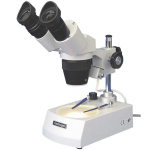 10X-45X Stereo Microscope with Metal Pillar Stand
