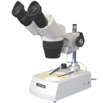 10X-40X Multi-Lens Stereo Microscope