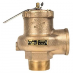 2-1/2" Inlet, High Capacity Steam Valve
