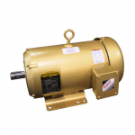 Baldor Motor for Direct Drive Pump, 3 Phase