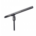 Line + Gradient Condenser Microphone