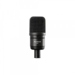 A131 Large Diaphragm Condenser Microphone