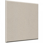 ProPanel Wall Panel Birch Beveled Edge