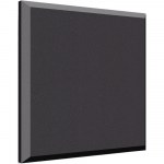 ProPanel Ceiling Acoustical Panel Onyx Beveled Edge
