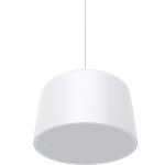 C1510 Network Pendant Speaker