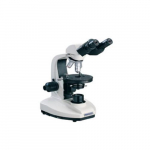 Binocular Polarization Microscope