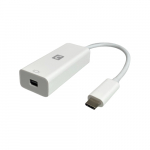 USB-C Male to Mini DP 4K60 Converter