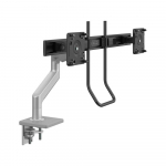 Monitor Arm, Silver with Gray Trim