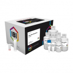 Mini I-Blue Plasmid Kit