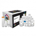 Midi I-Blue Plasmid Kit