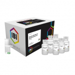 Mini Genomic DNA Kit for 25 Preparations