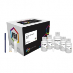 Mini Genomic DNA Kit for 50 Preparations, Tissue
