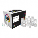 Mini Genomic DNA Kit for 100 Preparations