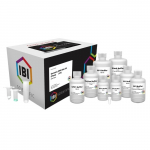 Mini Genomic DNA Kit for 300 Preparations