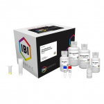 Mini Total RNA Kit for 50 Preparations