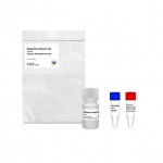 Rnase-Free Dnase I Set, 1.65mL