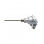 Screw-in RTD Temperature Probe with Terminal Head Form