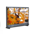 4K HDMI Broadcast Monitor 31.5" V-Lock Mount