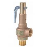 2-1/2" x 2-1/2" ASME Safety Valve 150 psi