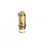 1/2" Safety Valve, 165 PSI 304 SCFM