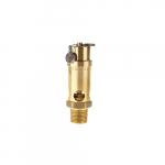 1/2" Safety Valve, 160 PSI 638 SCFM