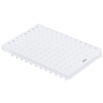 No Skirt Clear 0.1mL H12 Notch PCR Plate