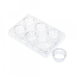 Non-Treated Sterile 6 Cell Culture Insert