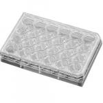 Non-Treated Sterile 12 Cell Culture Insert