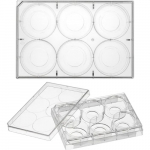 6 Well Bottom Culture Plate for 20mm Dish