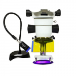 Full System Microscope with Violet, Standard Lamp
