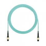 Fiber Interconnect Cable Assembly, 35 Ft