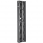Dual Vertical Cable Manager, Black, 6" x 95.88"