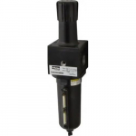 1" NPT Port Heavy-Duty 1 Piece Filter