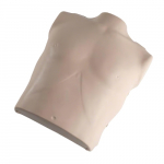 Single Torso Assembly for Adult Manikin