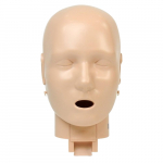 Head Assembly for Medium Dark Skin Manikin