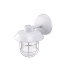 LED White Light with Pendant Mount, 75-Watt