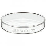 Culture Petri Dish Bottom Only, 100 x 20 mm