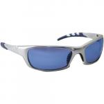 GTR Safety Glasses, Silver Frame