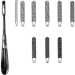 TC Maltz Nasal Raspatory, #7, Straight, 7-1/2"