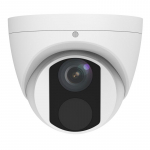 5MP Starlight IP Turret Security Camera