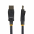 Additional image #2 for StarTech DISPLPORT10L10PK